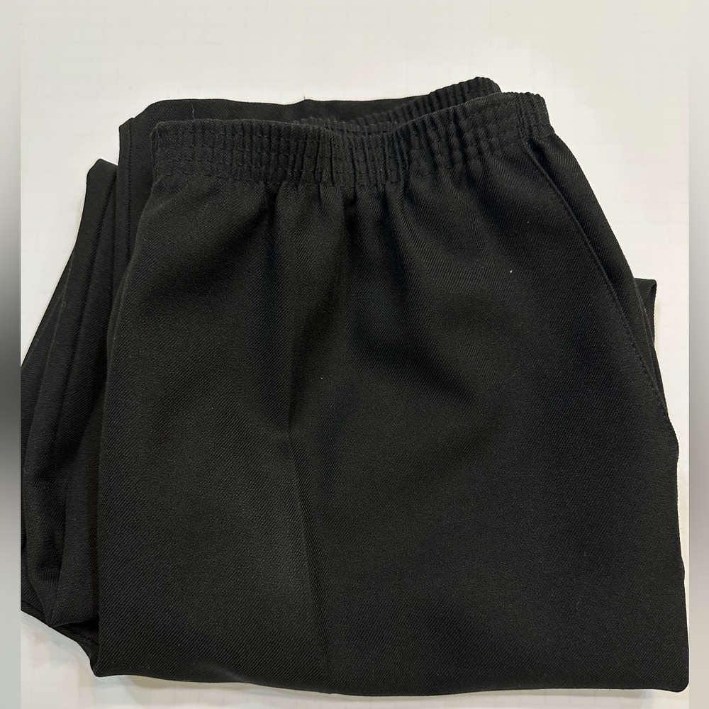 Alfred Dunner Pants Womens 16